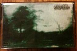 Embraced by the Ancient